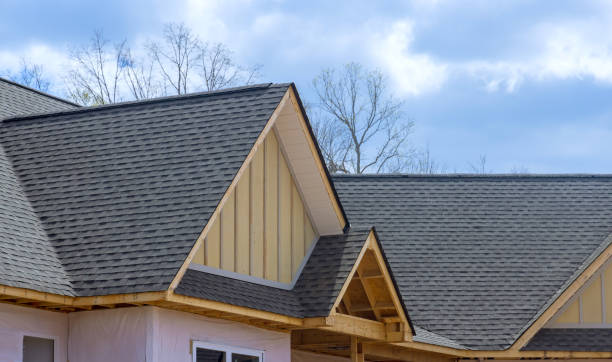 Best Skylight Installation and Repair  in Oskaloosa, KS